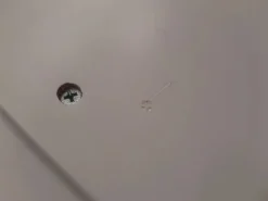 Online Babydan Sofie bredt væghængt puslebord 2. sortering Pusleborde