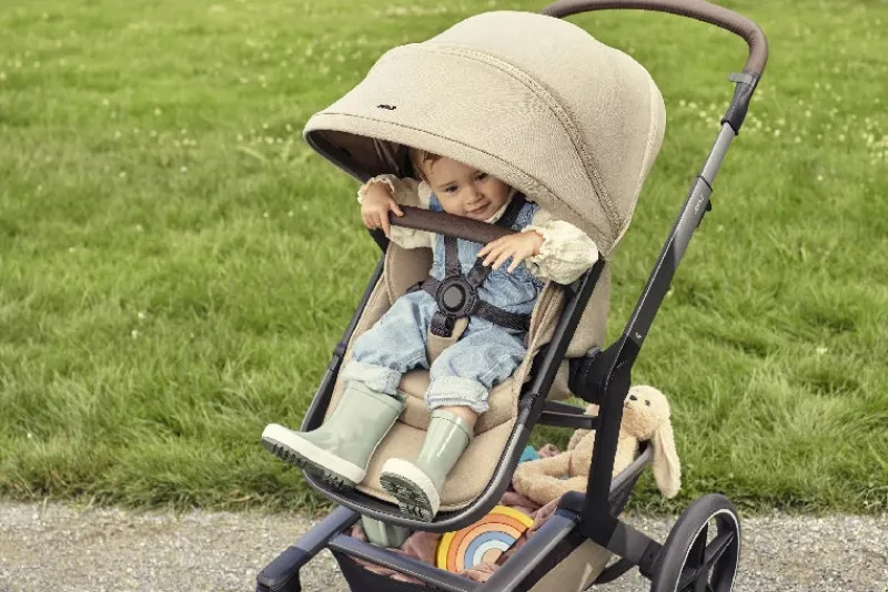 Clearance Day5 complete set | Forest green Duo- &Amp; Kombivogne