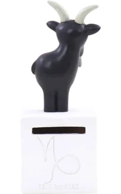 Hot Stjernetegn - stenbukken Børn Interiør|Interiør