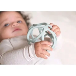 Hot - Sansebold - Blå Aktivitetslegetøj