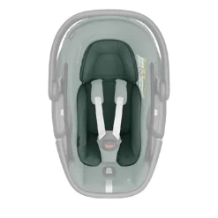 Discount Maxi-Cosi Coral 360 - Essential Green Autostole - Baby