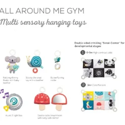 Best TAF All around me gym Aktivitetstæpper