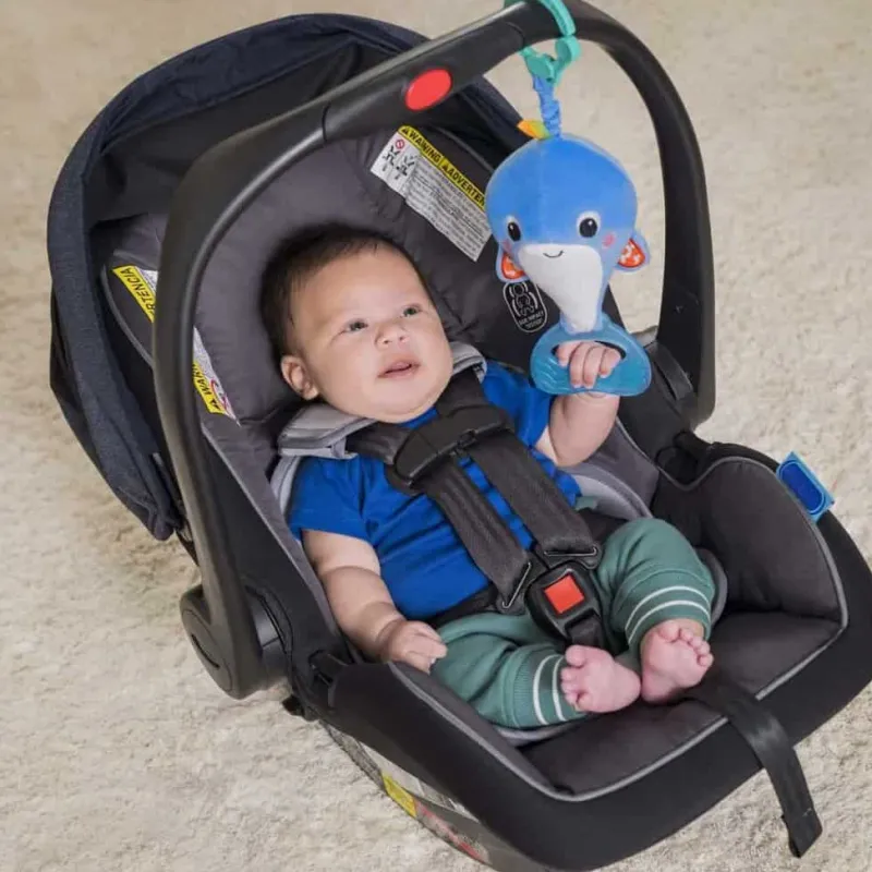 Discount Whale-a-roo™ pull & shake aktivitets - hval Rangler|Aktivitetslegetøj